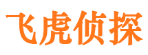 临河市侦探调查公司